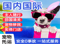硕放航空运输国际宠物托运 【国